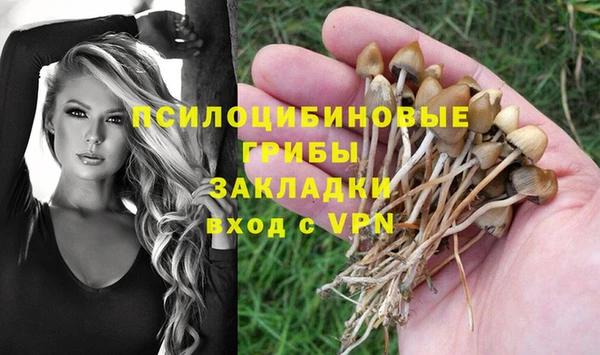 дурь Зеленокумск