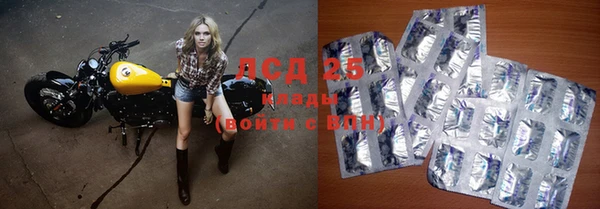 сатива Зеленодольск