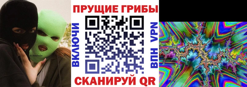 продажа наркотиков  Старица  Галлюциногенные грибы GOLDEN TEACHER 